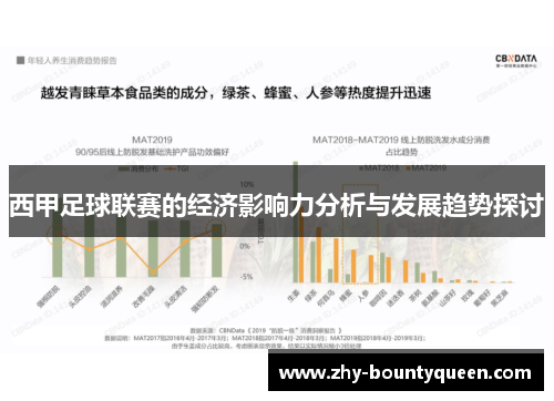 西甲足球联赛的经济影响力分析与发展趋势探讨