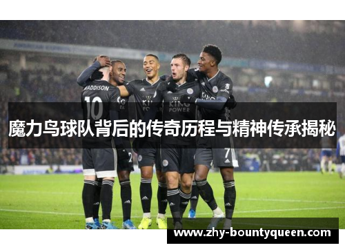 魔力鸟球队背后的传奇历程与精神传承揭秘